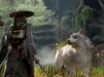 Beast of Reincarnation hat zwar erkundbare Gebiete, aber keine offene Welt