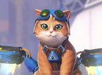 Eine neue Browser-App l&auml;sst dich aufh&ouml;ren zu scrollen... mit einer riesigen Katze, die nicht entfernt werden kann