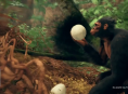 Video zeigt erste Schritte und große Sprünge in Ancestors: The Humankind Odyssey