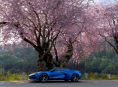 Forza Horizon 6 erreichte am Wochenende &uuml;ber 300.000 gleichzeitige Steam-Spieler