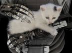 Intel hat sich gegen den Kauf von Anteilen an OpenAI entschieden