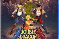 DOUBLE DRAGON GAIDEN: RISE OF THE DRAGONS