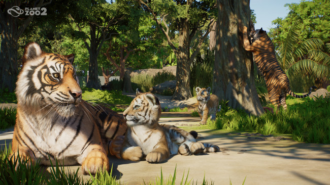 Planet Zoo 2 Vorschau: Eine ambitionierte Fortsetzung, die die Planet-Formel auf ein neues Level hebt