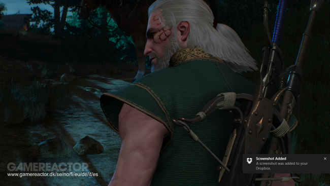 The Witcher 3: Wild Hunt