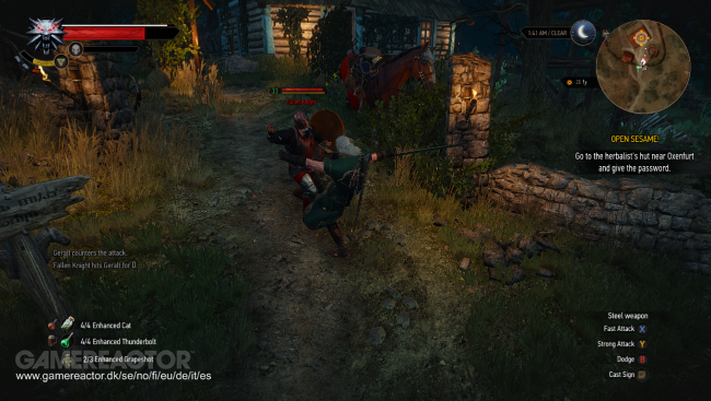 The Witcher 3: Wild Hunt