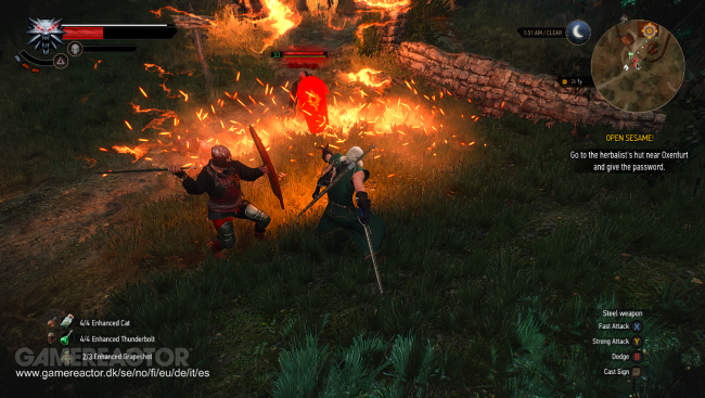 The Witcher 3: Wild Hunt