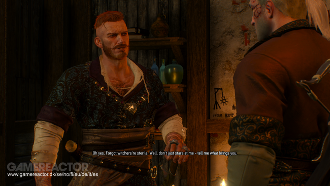 The Witcher 3: Wild Hunt