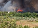 Schlimmster Waldbrand seit 1949 breitet sich in Frankreich aus