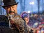 Punxsutawney Phil sagt sechs weitere Winterwochen f&uuml;r die USA am Groundhog Day voraus