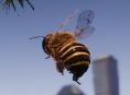 Bee Simulator unterstützt heimische Bienen mit anteiligem Verkaufserlös