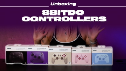 8BitDo Controllers & USB Adapter - Auspacken
